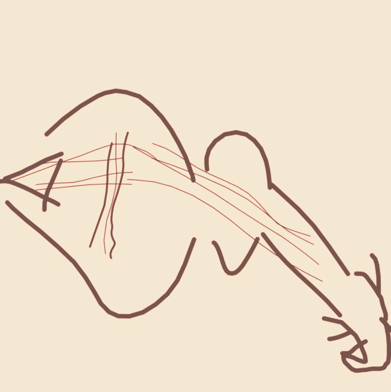 DoubleLuca sketch 12